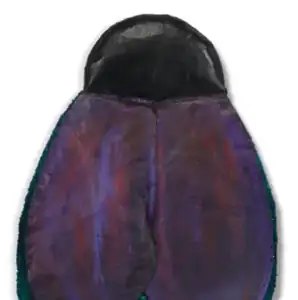 Mosca (Fly)