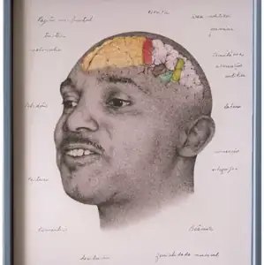 Lupicínio Rodrigues (Série Mapeamento Cognitivo)
