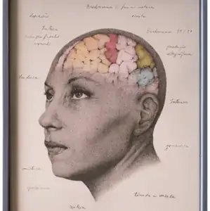 Clarisse Lispector (Série Mapeamento Cognitivo)